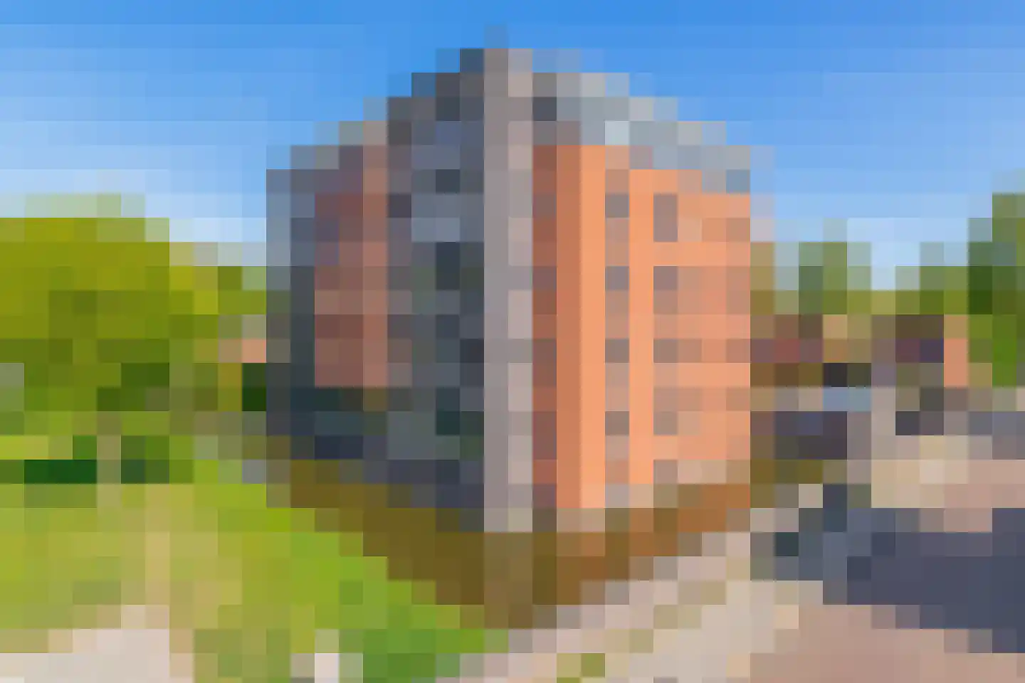 Daalseweghof 104 Utrecht thumbnail 7