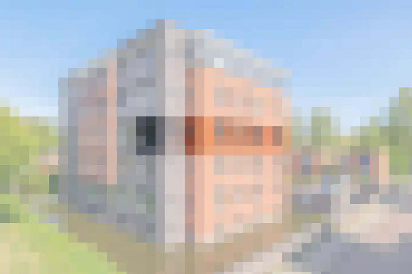 Daalseweghof 104 Utrecht thumbnail 8