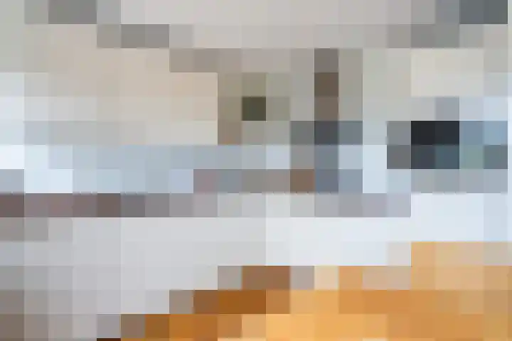 Daalseweghof 120 Utrecht thumbnail 20