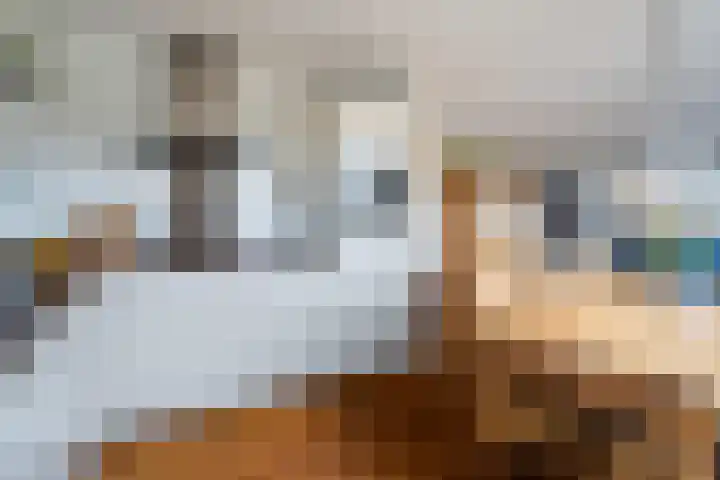 Daalseweghof 120 Utrecht thumbnail 21