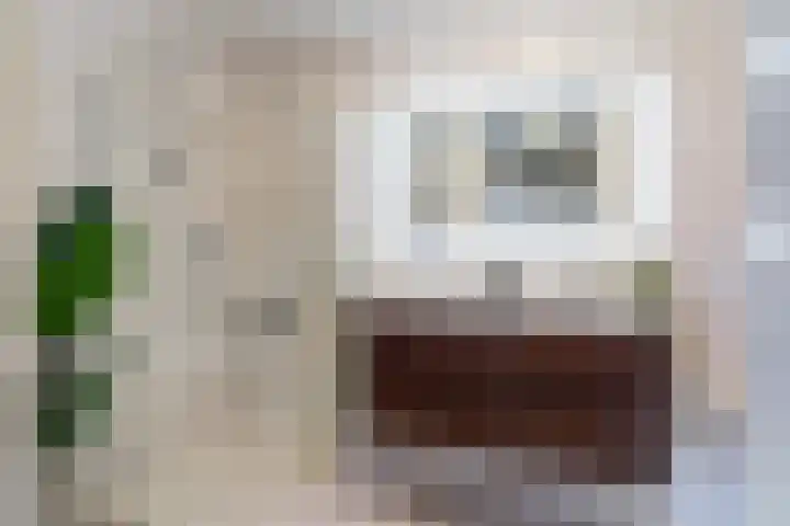 Daalseweghof 120 Utrecht thumbnail 28