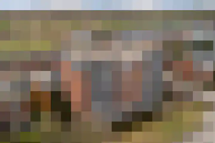 Daalseweghof 120 Utrecht thumbnail 38