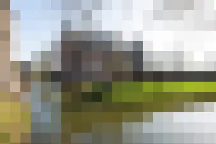Daalseweghof 120 Utrecht thumbnail 39