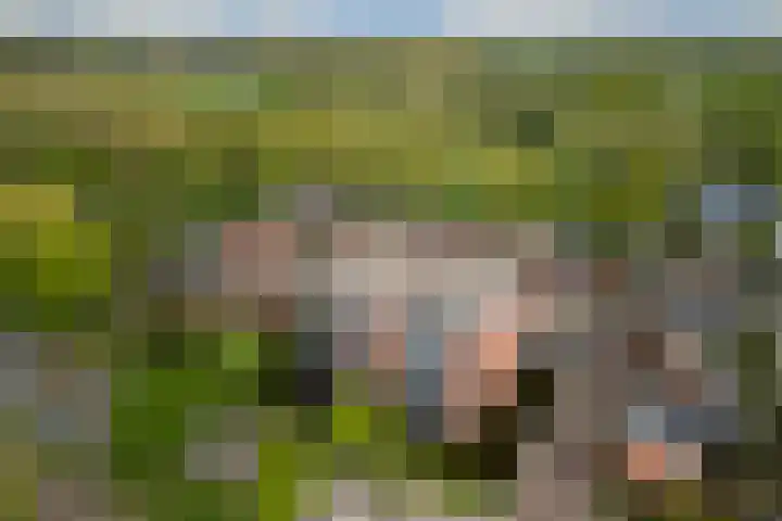 Daalseweghof 120 Utrecht thumbnail 4