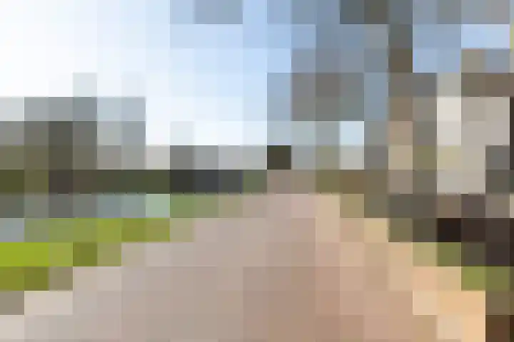 Daalseweghof 120 Utrecht thumbnail 41