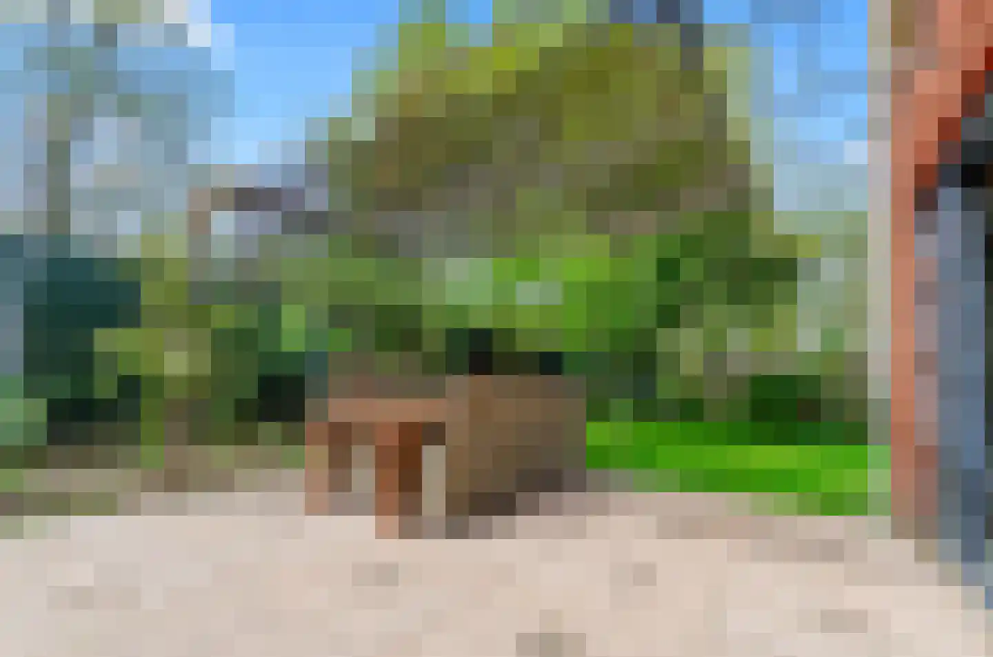 Daalseweghof 126 Utrecht thumbnail 16