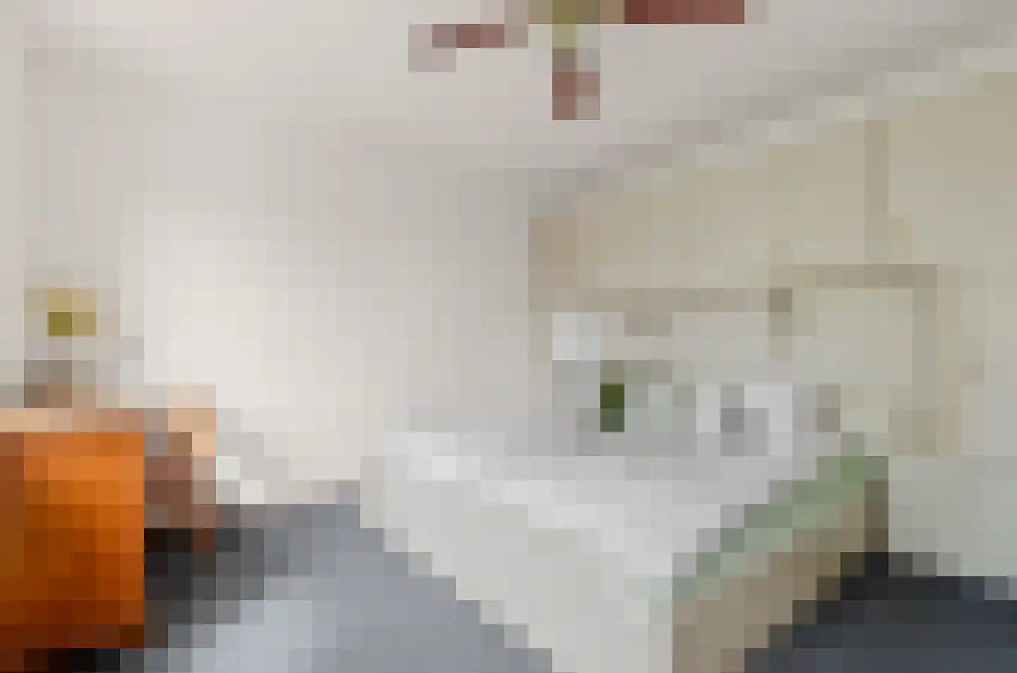 Daalseweghof 126 Utrecht thumbnail 30