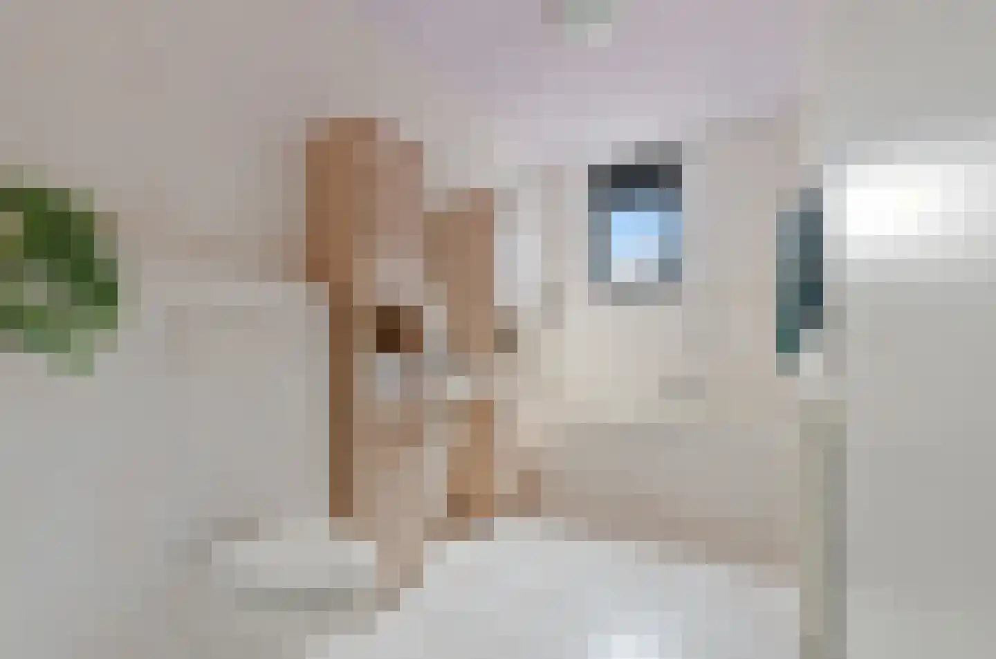Daalseweghof 126 Utrecht thumbnail 33