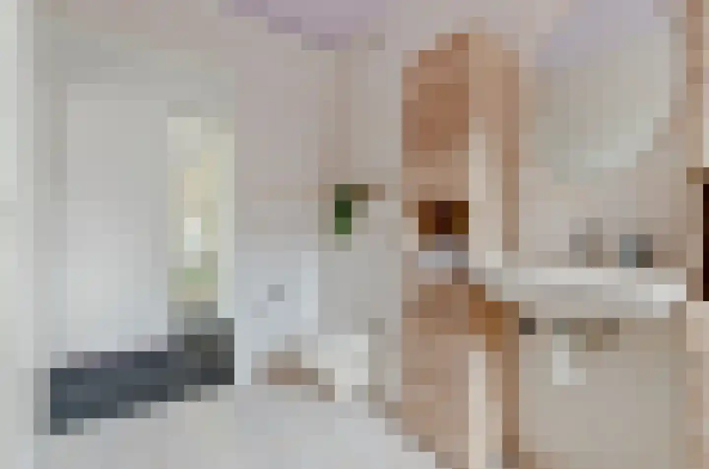 Daalseweghof 126 Utrecht thumbnail 34