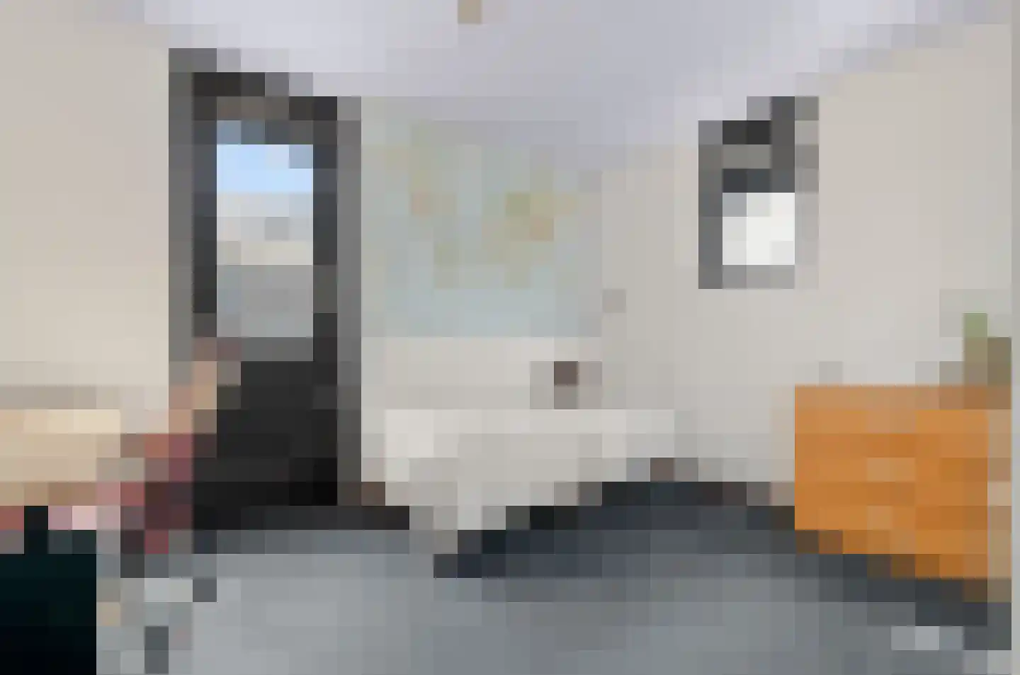 Daalseweghof 126 Utrecht thumbnail 38