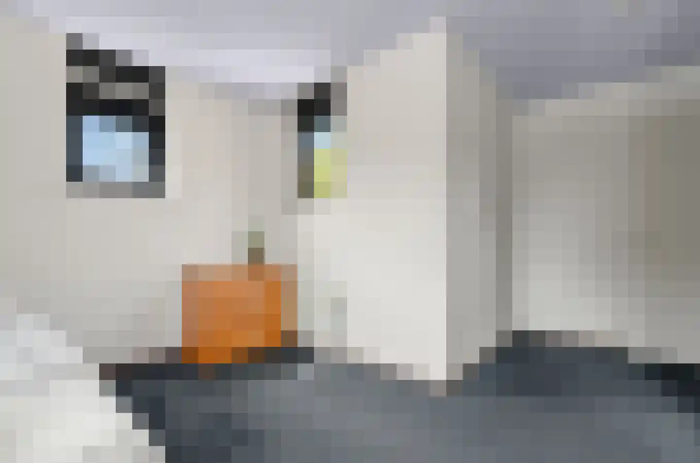 Daalseweghof 126 Utrecht thumbnail 39