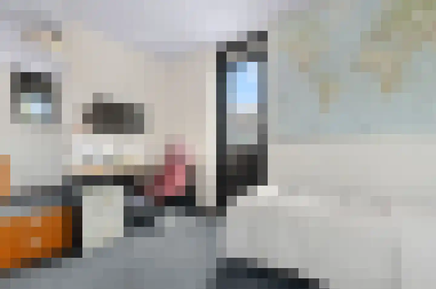 Daalseweghof 126 Utrecht thumbnail 40