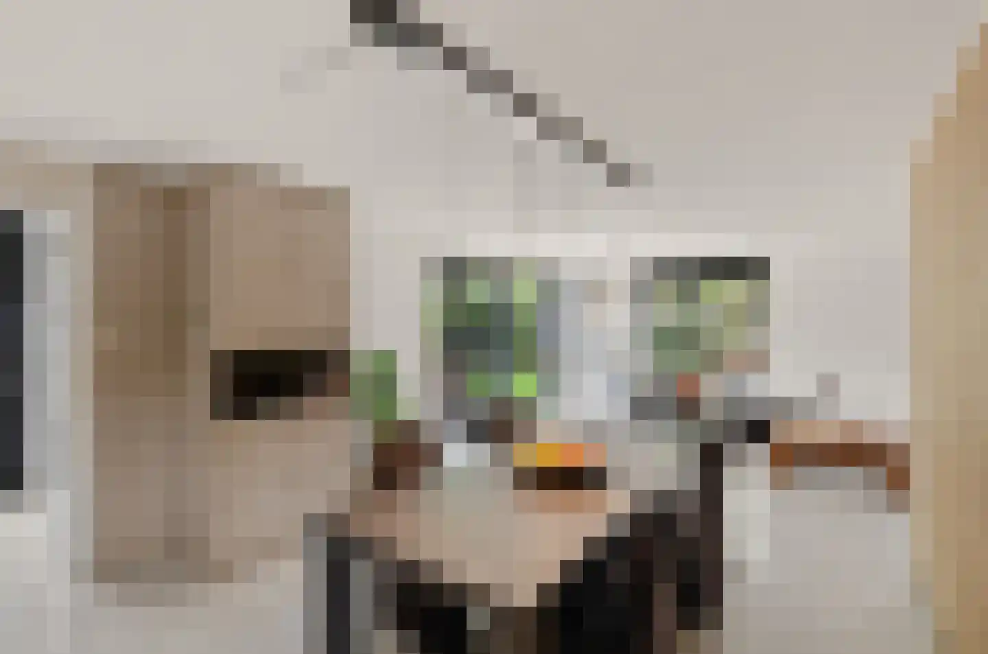 Daalseweghof 126 Utrecht thumbnail 8