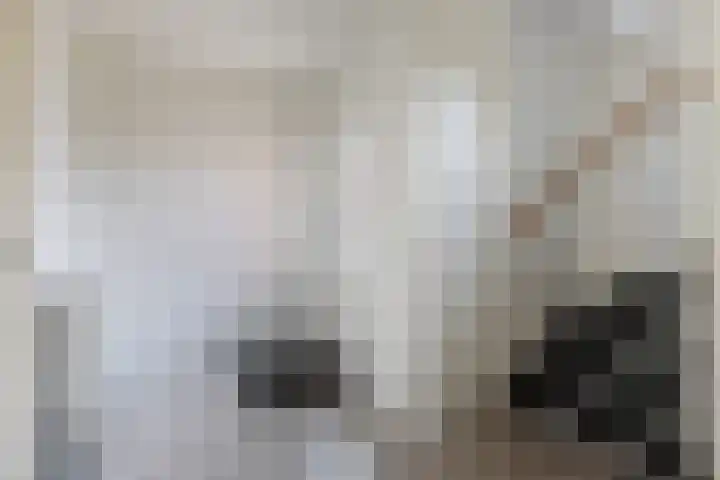 Daalseweghof 146 Utrecht thumbnail 13