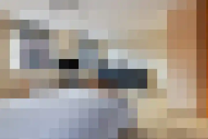 Daalseweghof 146 Utrecht thumbnail 17