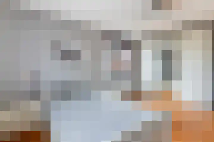 Daalseweghof 146 Utrecht thumbnail 19