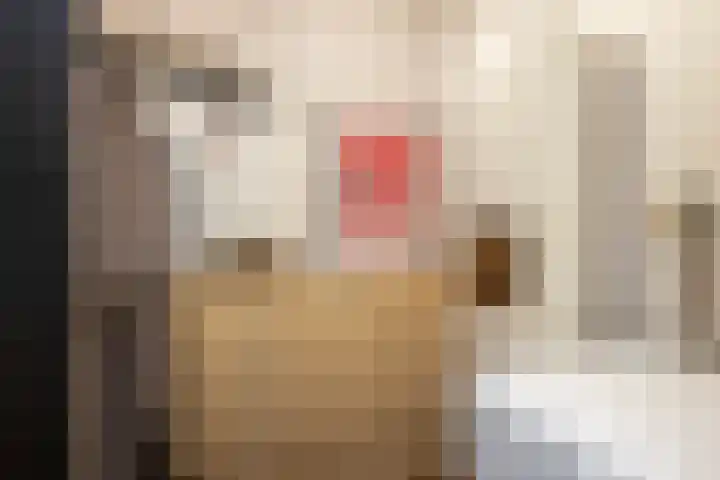 Daalseweghof 94 Utrecht thumbnail 10