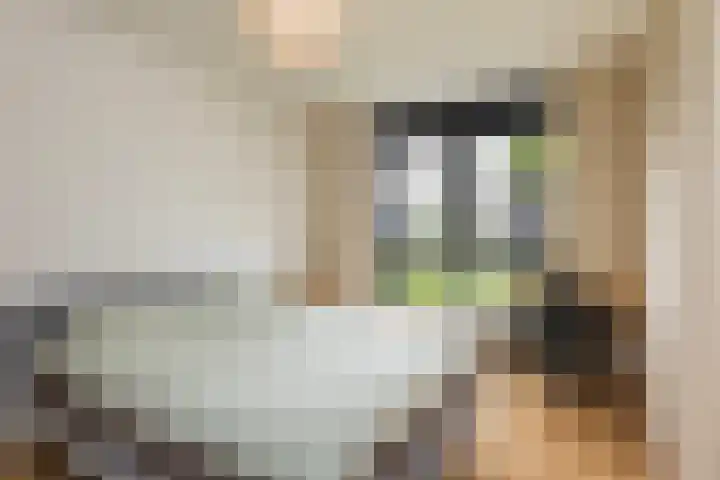 Daalseweghof 94 Utrecht thumbnail 13