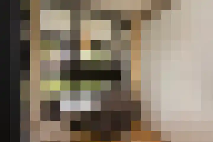 Daalseweghof 94 Utrecht thumbnail 14