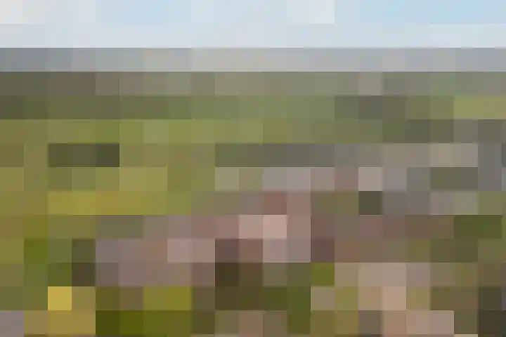 Daalseweghof 94 Utrecht thumbnail 32