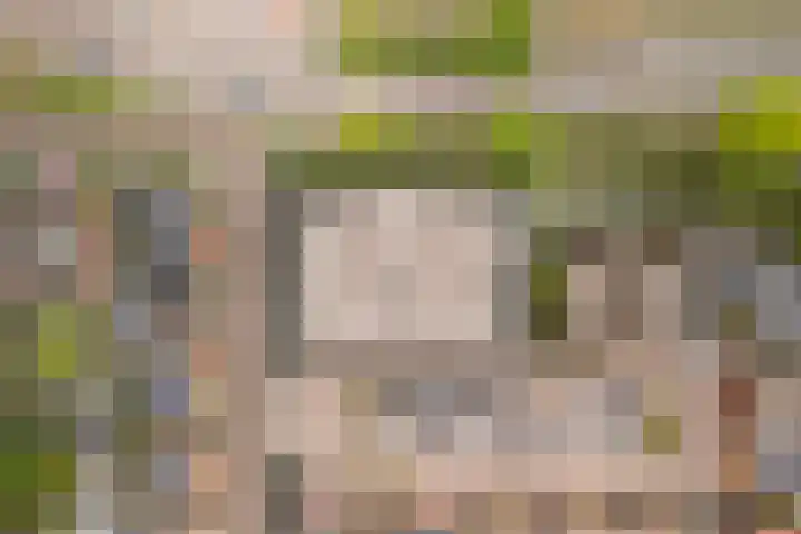 Daalseweghof 94 Utrecht thumbnail 33