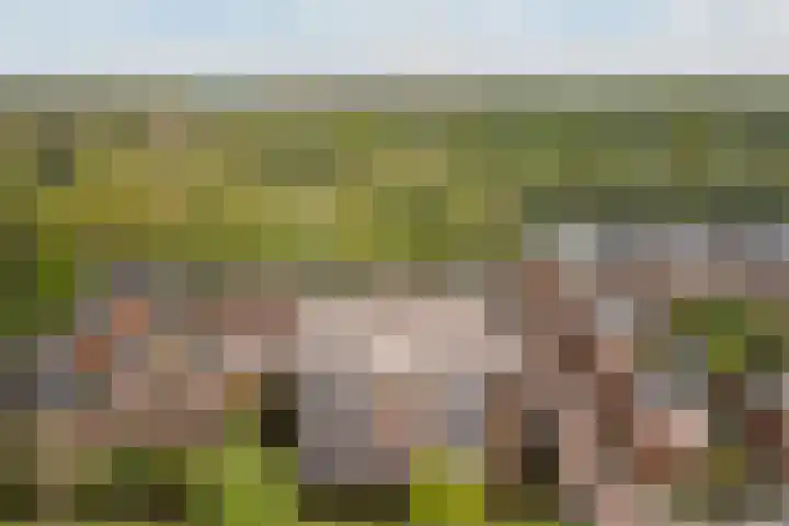 Daalseweghof 94 Utrecht thumbnail 34