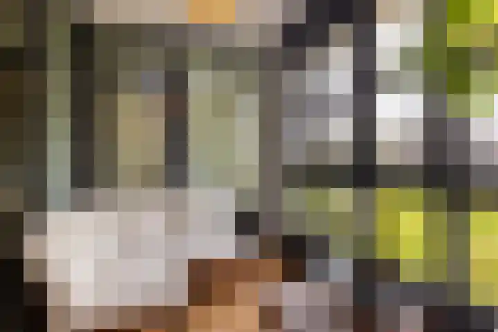 Daalseweghof 94 Utrecht thumbnail 4