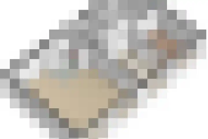 Daalseweghof 94 Utrecht thumbnail 40