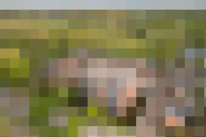 Daalseweghof 94 Utrecht thumbnail 7