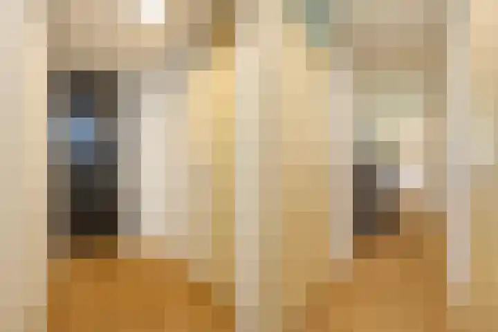 Daalseweghof 94 Utrecht thumbnail 9