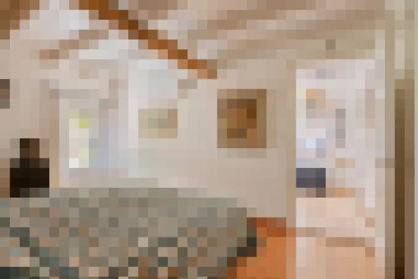Daalstraat 13 Geleen thumbnail 37