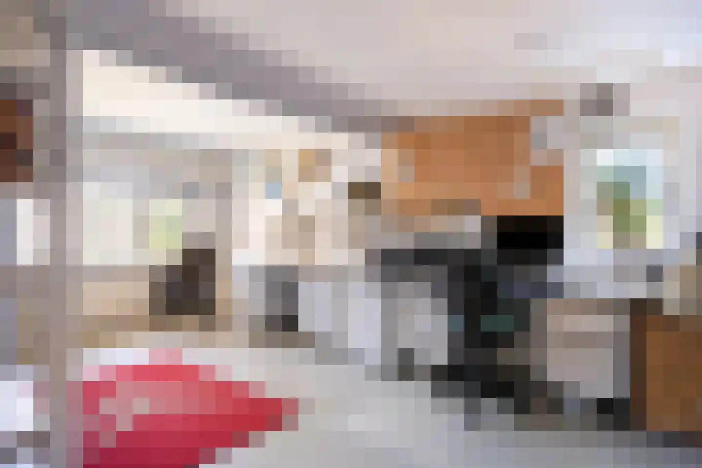 Daalstraat 13 Geleen thumbnail 43
