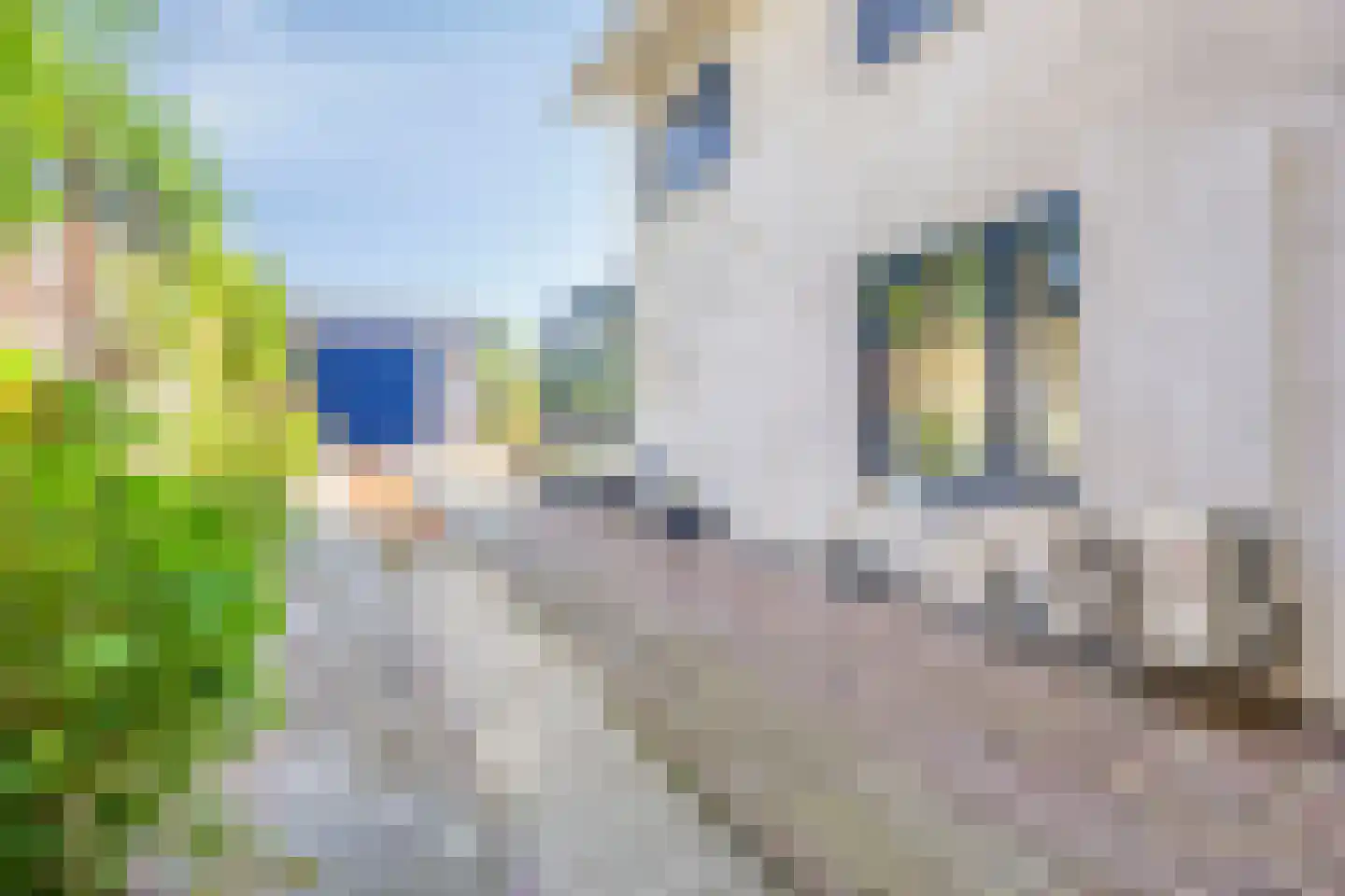 Daalstraat 13 Geleen thumbnail 52