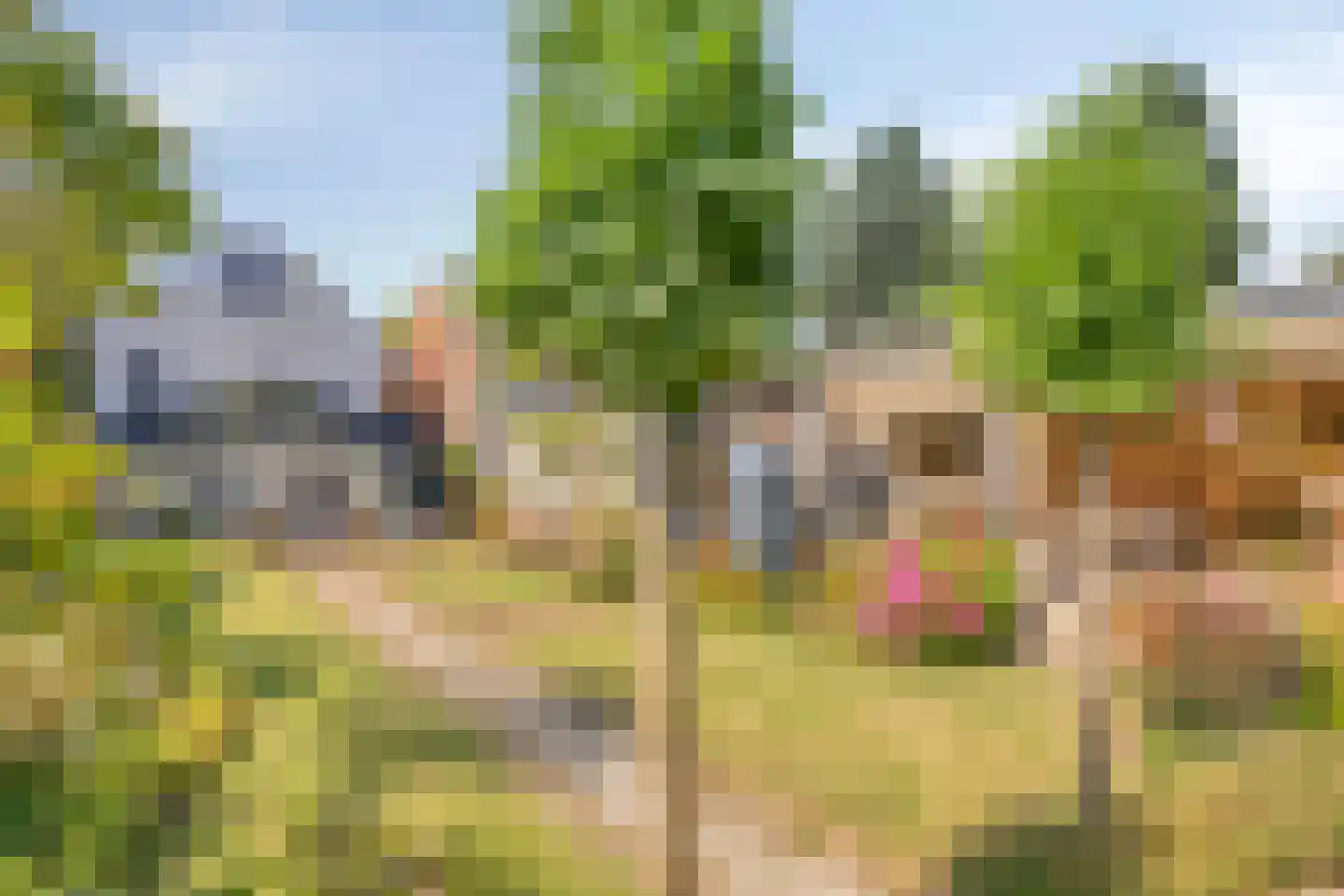 Daalstraat 13 Geleen thumbnail 58