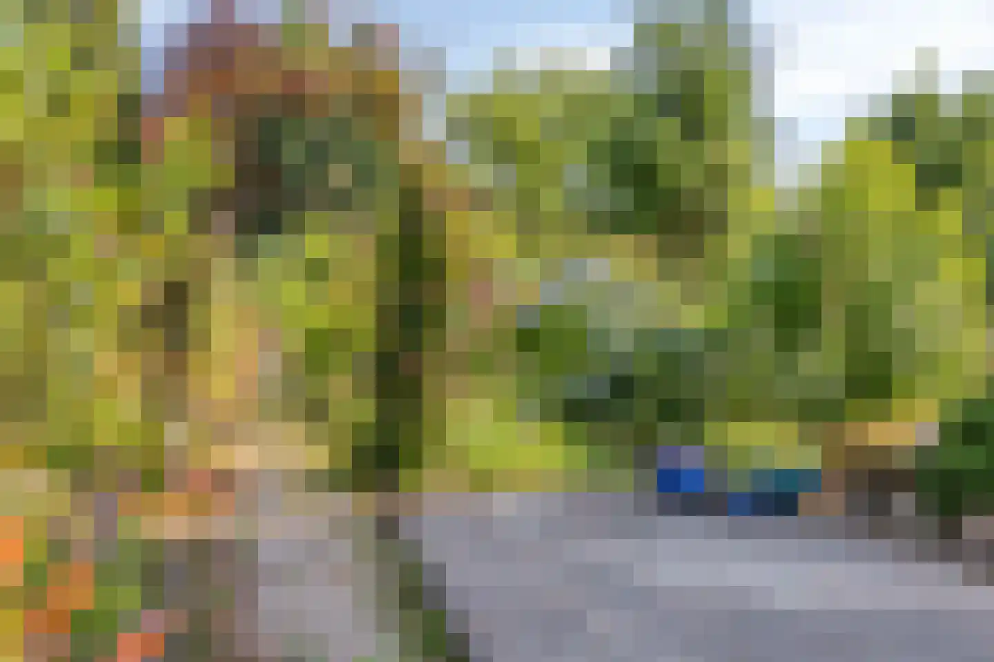 Daalstraat 13 Geleen thumbnail 62