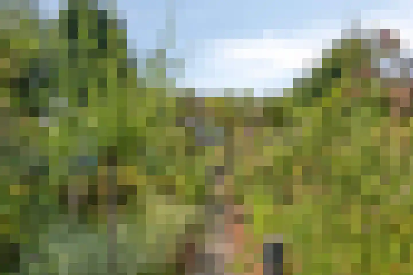 Daalstraat 13 Geleen thumbnail 63
