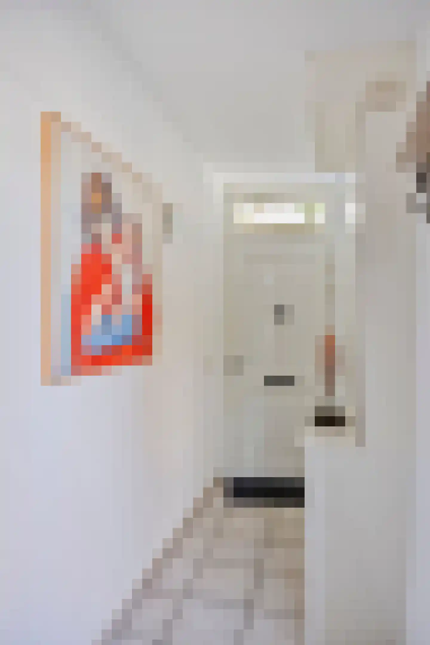Daalstraat 13 Geleen thumbnail 9