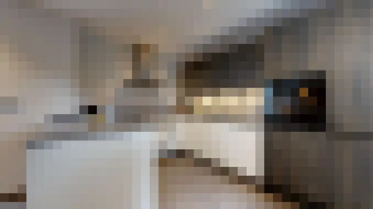 Daalstraat 130 Geleen thumbnail 11