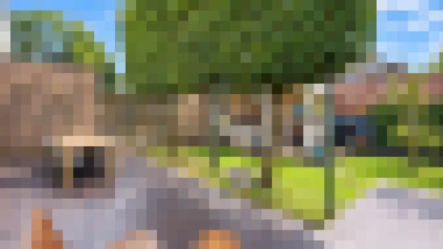 Daalstraat 130 Geleen thumbnail 25