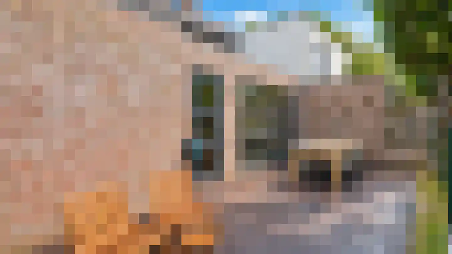 Daalstraat 130 Geleen thumbnail 29