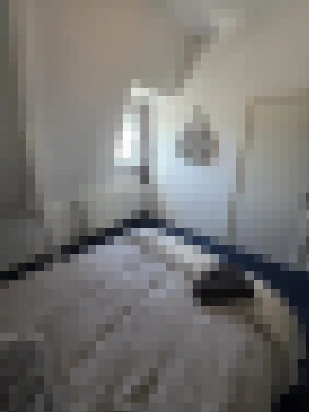 Daalstraat 2 Utrecht thumbnail 6