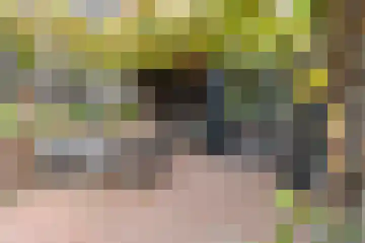 Daalstraat 38 Elsloo thumbnail 10