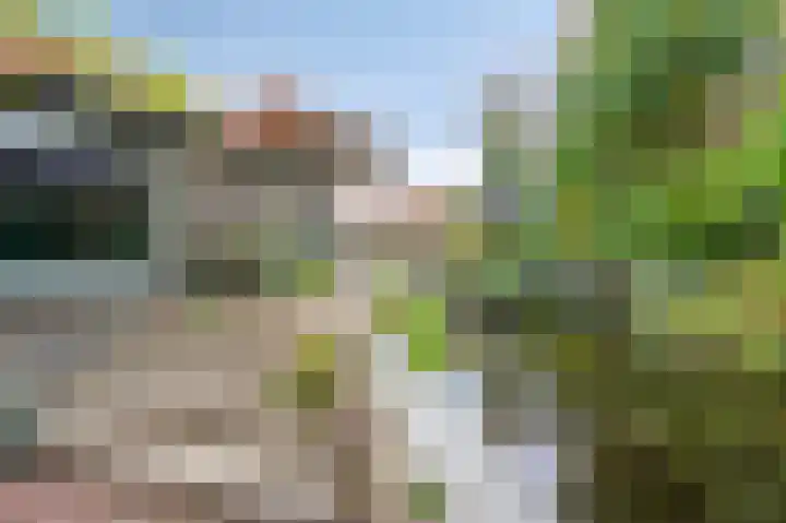 Daalstraat 38 Elsloo thumbnail 13