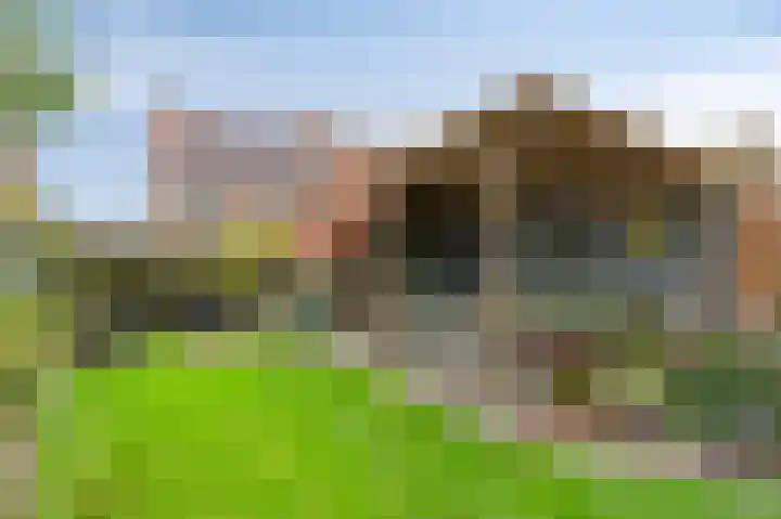 Daalstraat 38 Elsloo thumbnail 15