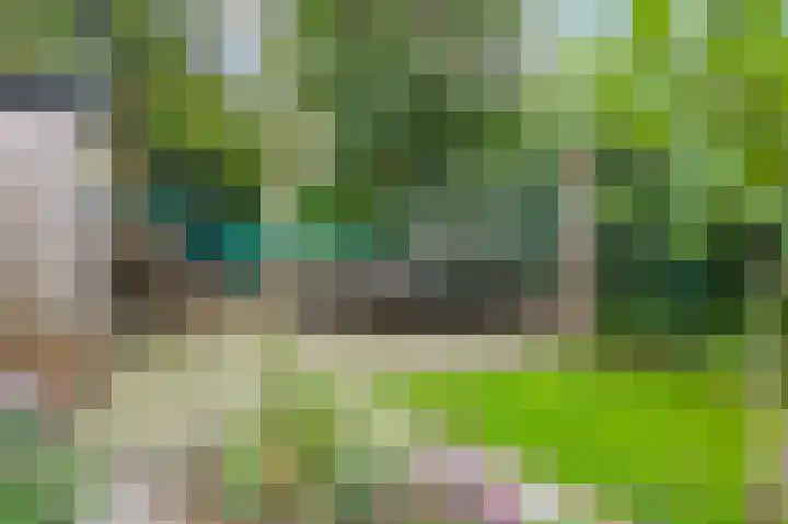 Daalstraat 38 Elsloo thumbnail 16