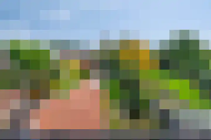 Daalstraat 38 Elsloo thumbnail 17