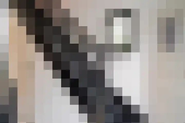 Daalstraat 38 Elsloo thumbnail 19