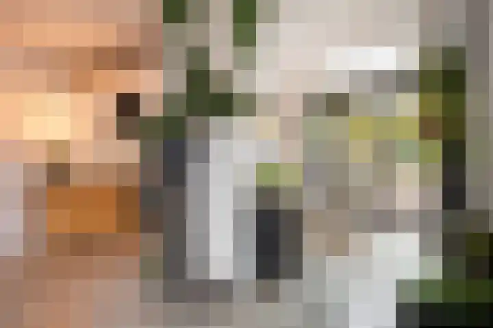 Daalstraat 38 Elsloo thumbnail 29