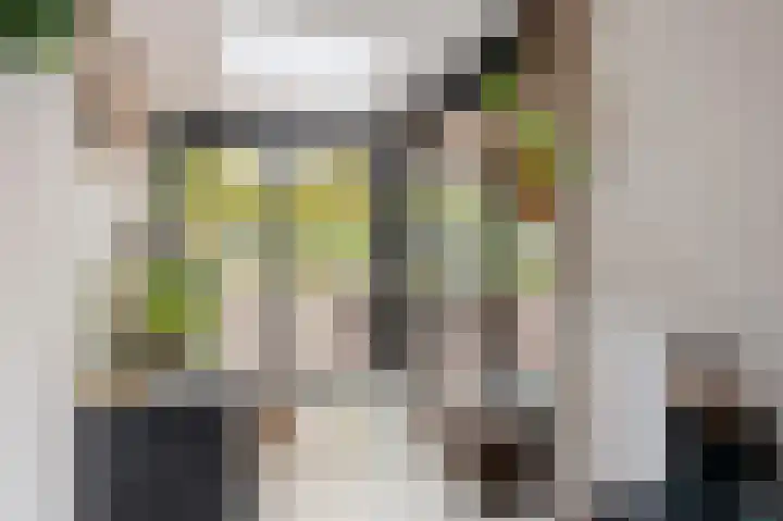 Daalstraat 38 Elsloo thumbnail 30