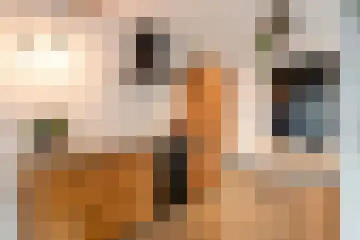 Daalstraat 38 Elsloo thumbnail 32